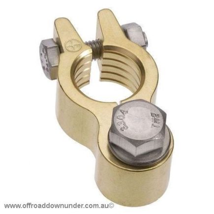 Projecta Battery Terminals